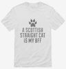 Cute Scottish Straight Cat Breed Shirt 666x695.jpg?v=1700431168