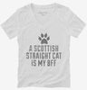 Cute Scottish Straight Cat Breed Womens Vneck Shirt 666x695.jpg?v=1700431168