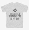 Cute Scottish Straight Cat Breed Youth