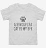 Cute Singapura Cat Breed Toddler Shirt 666x695.jpg?v=1700431346