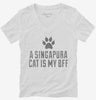 Cute Singapura Cat Breed Womens Vneck Shirt 666x695.jpg?v=1700431346
