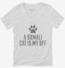 Cute Somali Cat Breed Womens Vneck Shirt 666x695.jpg?v=1700431434
