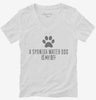 Cute Spanish Water Dog Breed Womens Vneck Shirt 666x695.jpg?v=1700492958