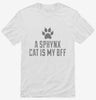 Cute Sphynx Cat Breed Shirt 666x695.jpg?v=1700431475