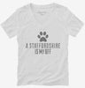 Cute Staffordshire Bull Terrier Dog Breed Womens Vneck Shirt 666x695.jpg?v=1700489934