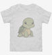 Cute Turtle  Toddler Tee