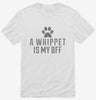 Cute Whippet Dog Breed Shirt 666x695.jpg?v=1700509629