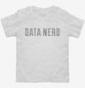 Data Nerd Toddler Shirt 666x695.jpg?v=1700651175
