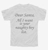 Dear Santa All I Want Is Your Naughty Boy List Youth