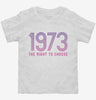 Defend Roe 1973 Womens Right To Choose Toddler Shirt 666x695.jpg?v=1700342388