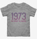 Defend Roe 1973 Women's Right to Choose grey Toddler Tee