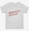 Democratic Socialist Toddler Shirt 666x695.jpg?v=1700650997