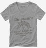 Dinosaurs Didnt Believe In Climate Change Either Womens Vneck