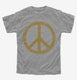Distressed Peace Sign grey Youth Tee
