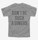 Don't Be Such A Dingus  Youth Tee