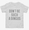 Dont Be Such A Dingus Toddler Shirt 666x695.jpg?v=1700650295