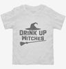 Drink Up Witches Toddler Shirt 666x695.jpg?v=1700378915