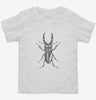 Entomologist Stag Beetle Insect Toddler Shirt 666x695.jpg?v=1700378876