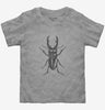 Entomologist Stag Beetle Insect Toddler