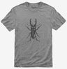 Entomologist Stag Beetle Insect
