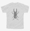 Entomologist Stag Beetle Insect Youth