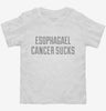 Esophagael Cancer Sucks Toddler Shirt 666x695.jpg?v=1700511658