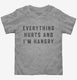Everything Hurts and I'm Hangry grey Toddler Tee