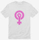 Feminist Symbol  Mens