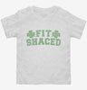 Fit Shaced Funny St Patricks Day Irish Drinking Beer Toddler Shirt 666x695.jpg?v=1700441728