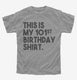 Funny 101st Birthday Gifts - This is my 101st Birthday grey Youth Tee