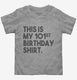 Funny 101st Birthday Gifts - This is my 101st Birthday grey Toddler Tee