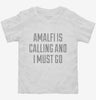 Funny Amalfi Vacation Toddler Shirt 666x695.jpg?v=1700519272