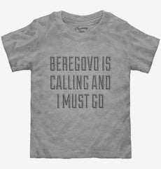 Funny Beregovo Vacation Toddler Shirt