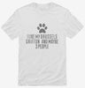 Funny Brussels Griffon Shirt 666x695.jpg?v=1700464764