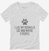 Funny Burmilla Cat Breed Womens Vneck Shirt 666x695.jpg?v=1700432452