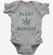 Funny Cannabis Plant Manager grey Infant Bodysuit