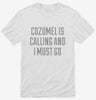 Funny Cozumel Vacation Shirt 666x695.jpg?v=1700519975