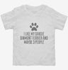 Funny Dandie Dinmont Terrier Toddler Shirt 666x695.jpg?v=1700463650