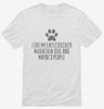 Funny Entlebucher Mountain Dog Shirt 666x695.jpg?v=1700463278