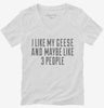 Funny Geese Owner Womens Vneck Shirt 666x695.jpg?v=1700426282