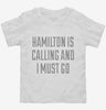 Funny Hamilton Vacation Toddler Shirt 666x695.jpg?v=1700519482