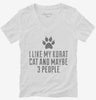 Funny Korat Cat Breed Womens Vneck Shirt 666x695.jpg?v=1700436020