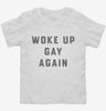 Funny Lgbtq Woke Up Gay Toddler Shirt 666x695.jpg?v=1700394037