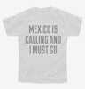 Funny Mexico Is Calling And I Must Go Youth