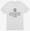 Funny Neapolitan Mastiff Shirt 666x695.jpg?v=1700461330