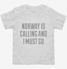 Funny Norway Is Calling And I Must Go Toddler Shirt 666x695.jpg?v=1700497936