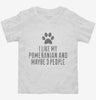 Funny Pomeranian Toddler Shirt 666x695.jpg?v=1700460542