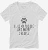 Funny Poodle Womens Vneck Shirt 666x695.jpg?v=1700460502