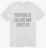Funny Positano Vacation Shirt 666x695.jpg?v=1700518955