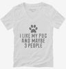Funny Pug Womens Vneck Shirt 666x695.jpg?v=1700460360
